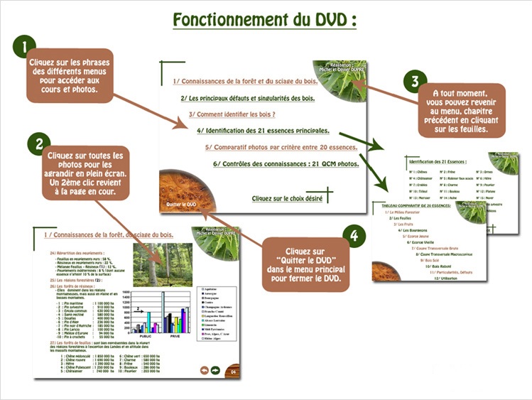 CD-Rom interactif Bois: identification, propriétés, usages de 21 bois